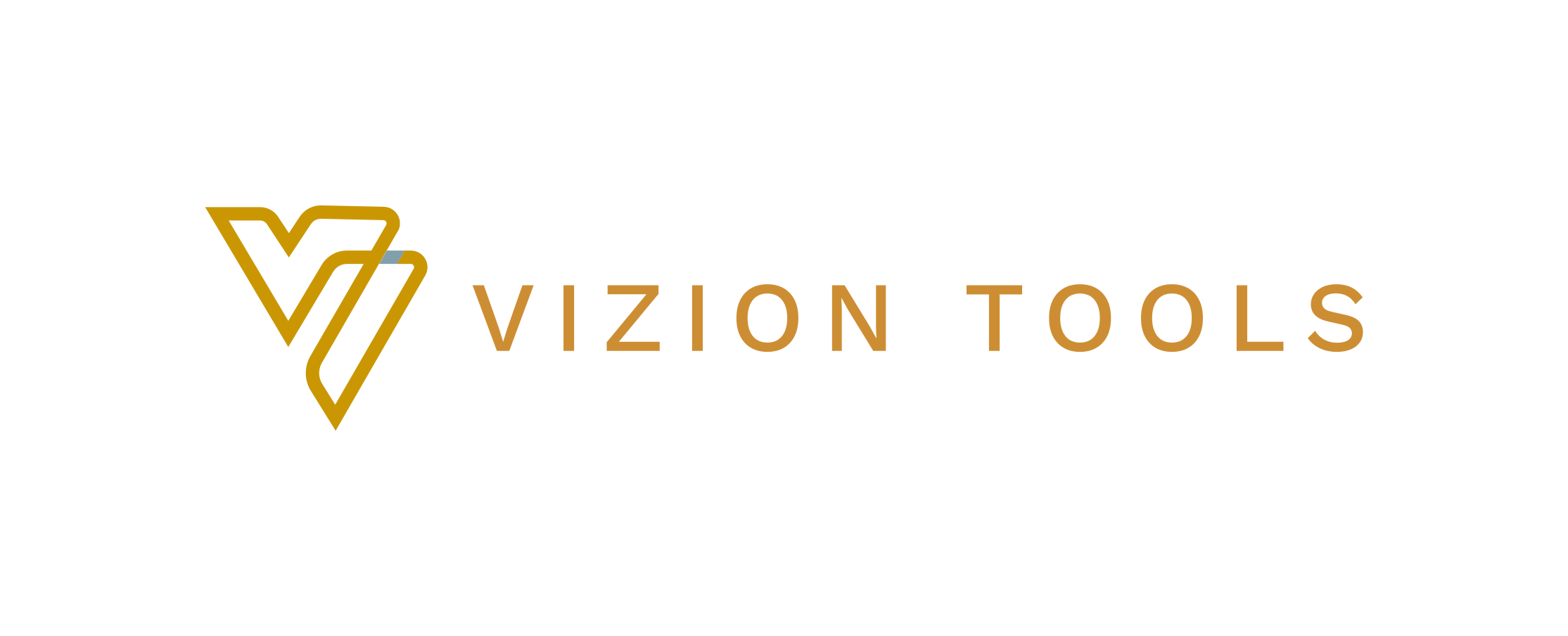 Vizion
